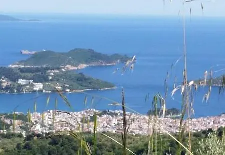 Belvedere فندق Achladies (Skiathos)